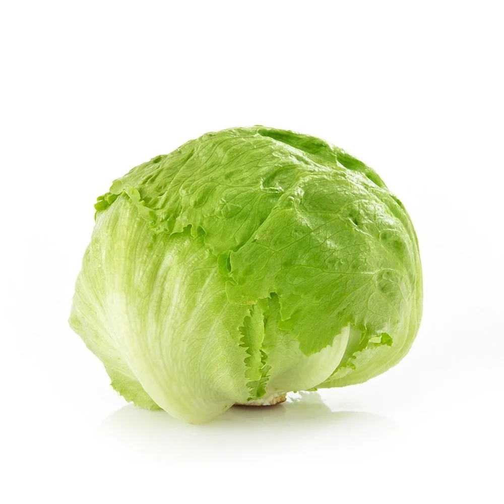 Fresh iceberg lettuce