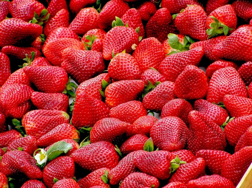 Fresh Egyptian strawberries