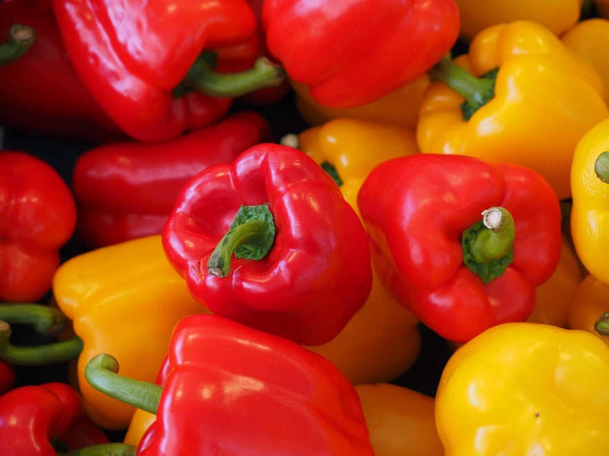 Fresh colored capsicum peppers