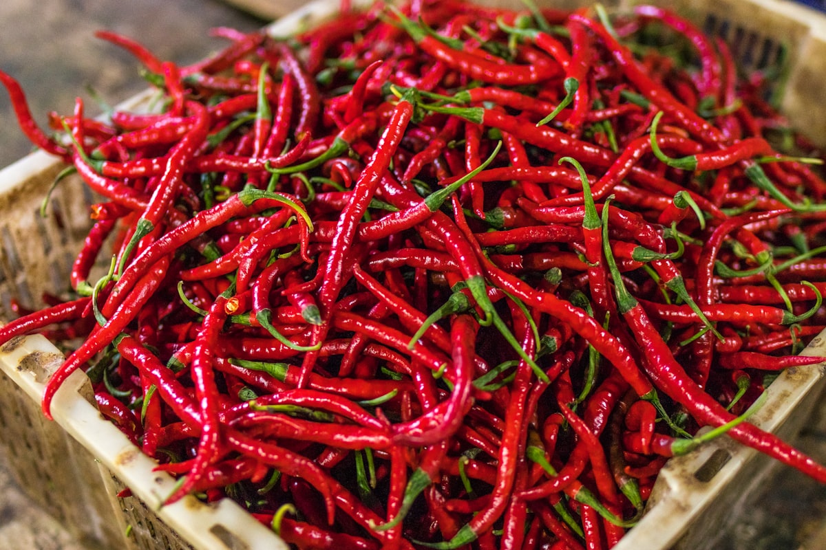 Fresh hot chili peppers